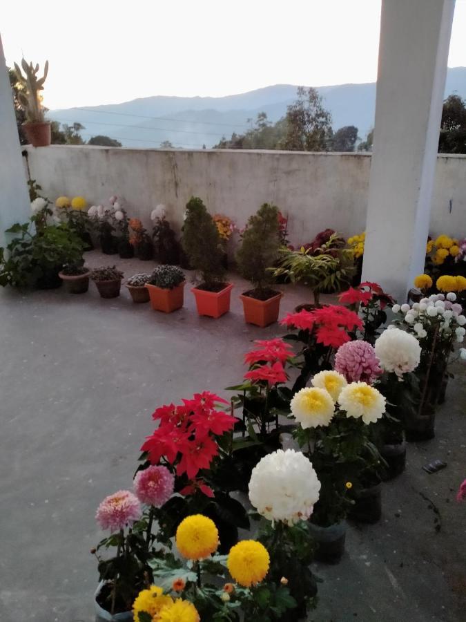 Ajit Homestay, Darjeeling Darjeeling  Luaran gambar